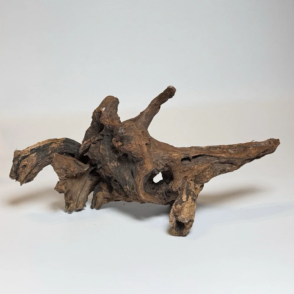 Natural Driftwood Root Sculpture #2!Aquarium Aquascape Terrarium Wood 11